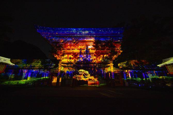夜の氷川神社の楼門全体に、青やオレンジの光の映像が投影され、手前の地面にも光が広がっている写真