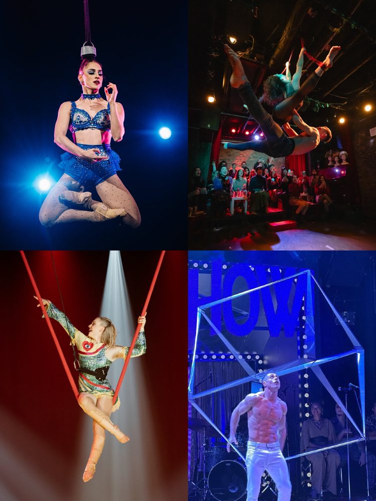 空中の輪や布、ロープを使う演者と、光るキューブの中に立つ演者の写真4枚