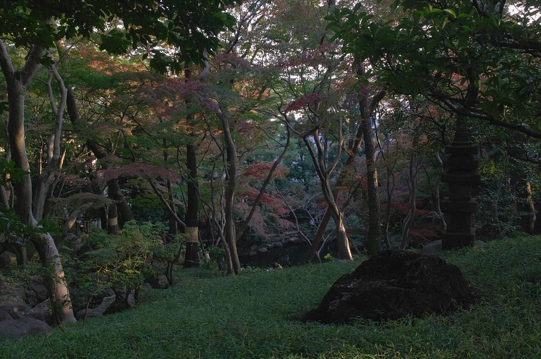 芝生の中の石と石塔の奥に、赤く色づいたモミジと緑の木々が混ざる庭園の林