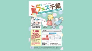 鳥フェス千葉2026のポスター。文鳥・オカメインコ・セキセイインコのイラスト、11月14日（土）11:00〜16:00、11月15日（日）10:00〜15:00、会場トーセイホテル＆セミナー幕張3階、入場料500円、新習志野駅から徒歩約2分のアクセス地図