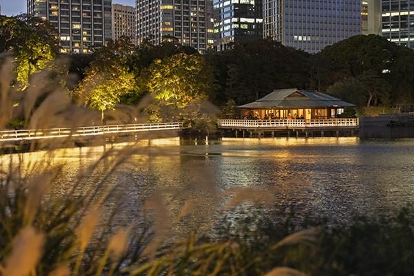 夕暮れの池の奥に明かりのともる茶屋と、ライトアップされた木々、背後に高層ビル