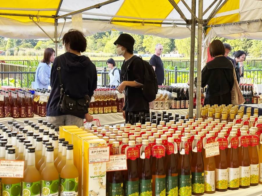 梅酒の即売会場。テントの下に色や大きさの違う梅酒の瓶が何列も並んでいる