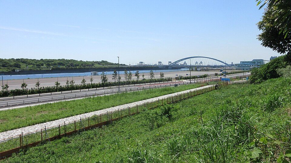 青空の下、手前に草の斜面と園路、奥に水面と白いアーチ橋が見える海の森公園の景色