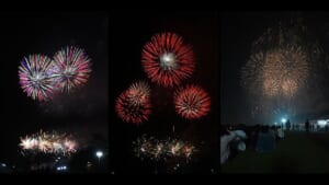 2025年10月18日の第42回浦安市花火大会。夜空に開く花火と、芝生の観覧会場で見上げる来場者