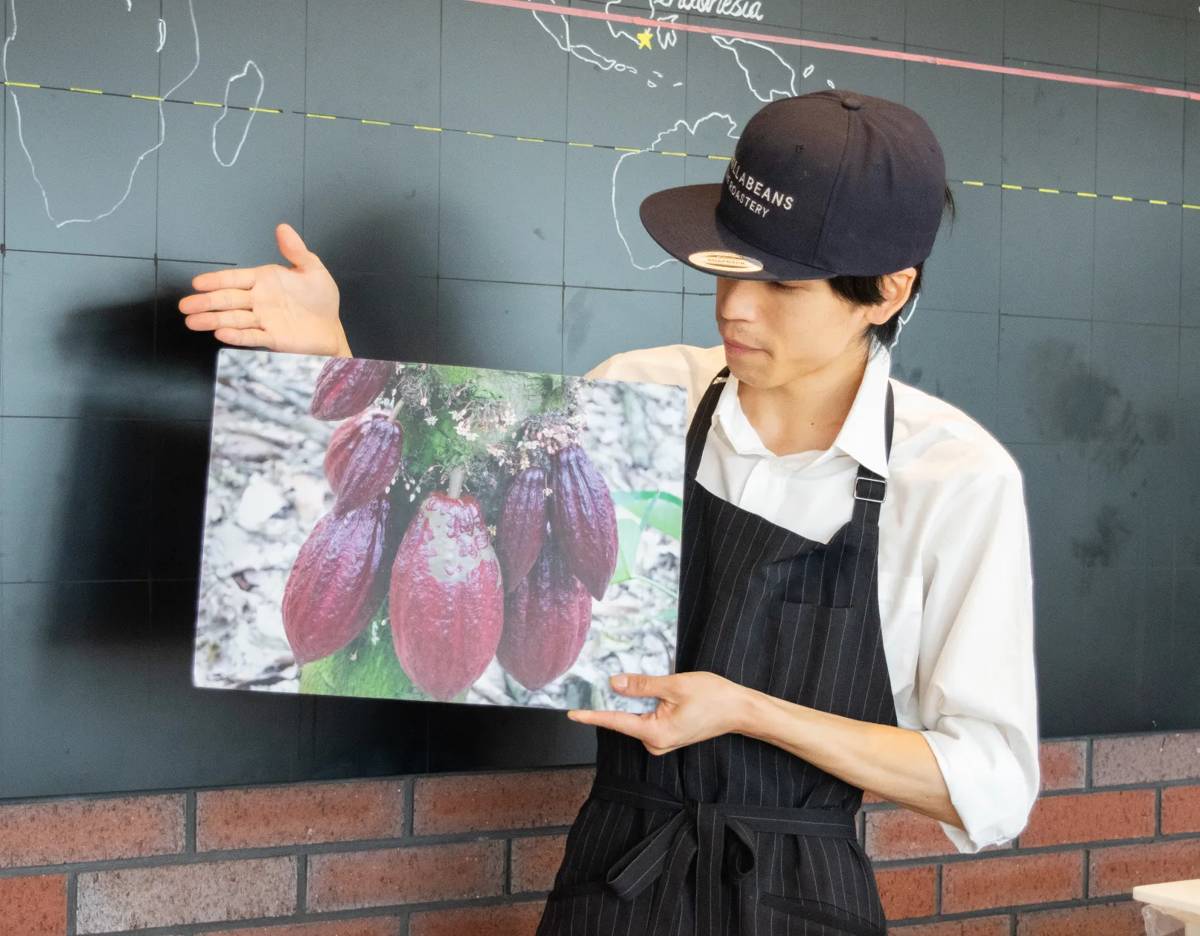 帽子とエプロン姿のスタッフが、カカオの実の写真パネルを手に説明している