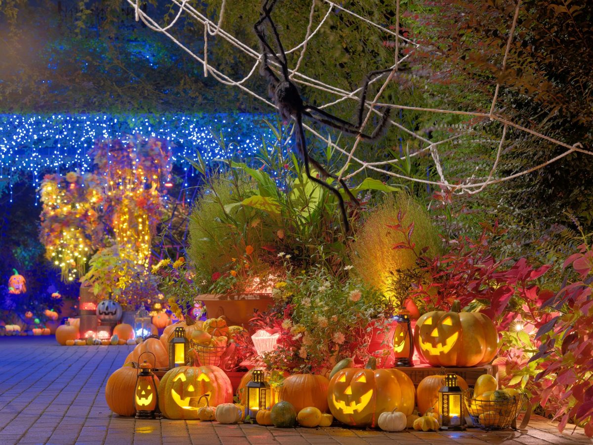 夜のハロウィンナイトでライトアップされたジャック・オ・ランタンとランタン、背景の青い電飾