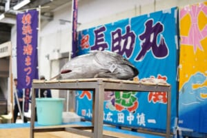 「横浜市場まつり」ののぼりの前で、台の上に大きなマグロが置かれている