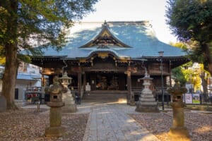 雑司ヶ谷鬼子母神堂の正面。石畳の参道の両側に石灯籠と狛犬があり、奥に緑青色の屋根のお堂が建つ